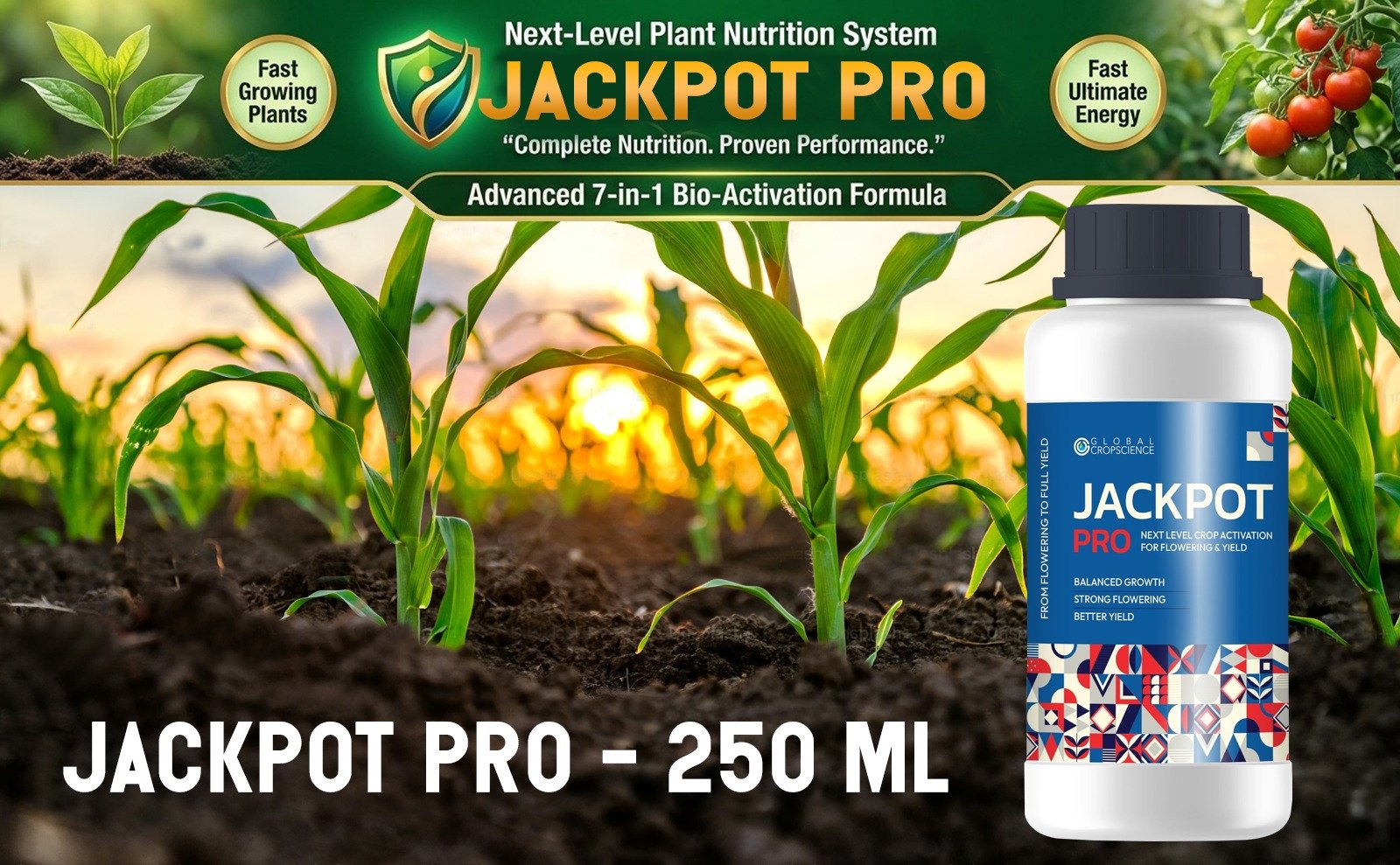 Jackpot Pro 250 ML